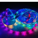RGB Light (2).webp