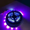 RGB Light (4).webp